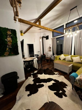 Casuta Nest